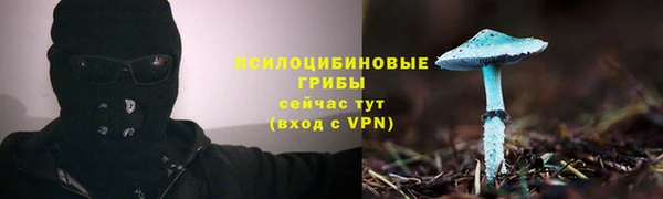 MESCALINE Весьегонск