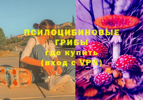 крисы Ветлуга