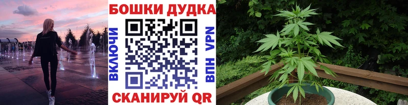 Каннабис ГИДРОПОН  Купить  Лыткарино 